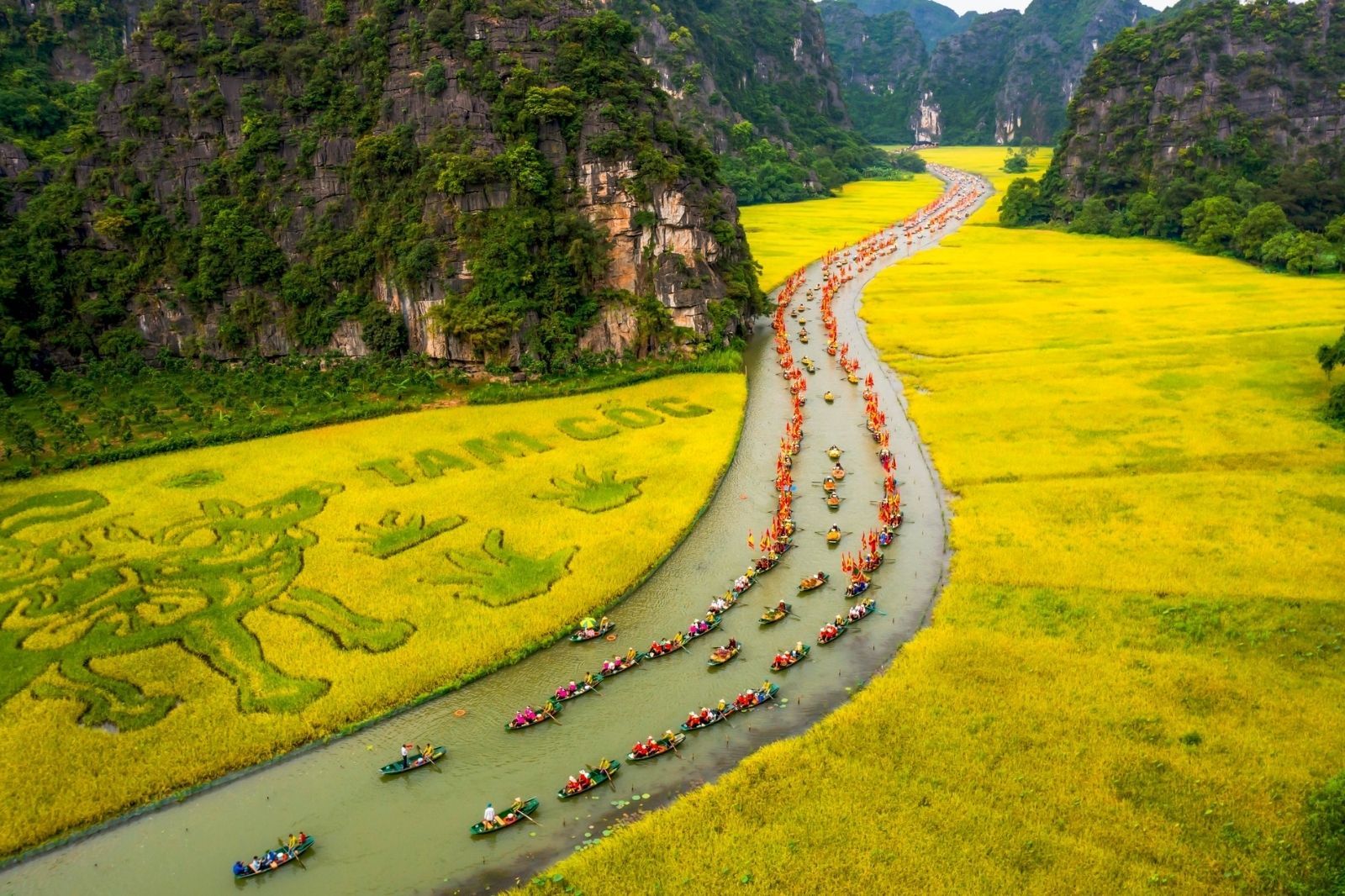 tam coc